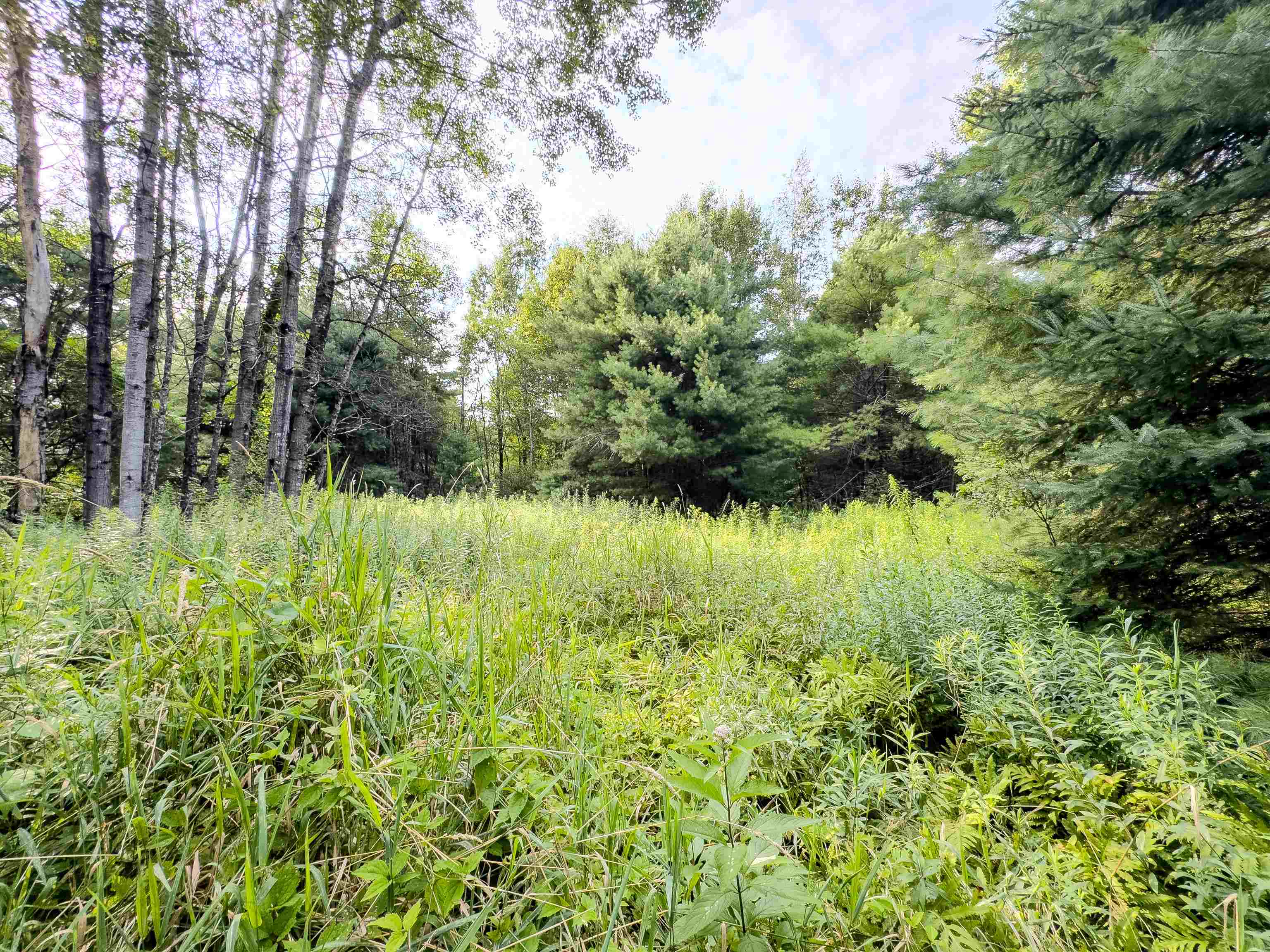 0 Woodsville Road Monroe, NH 03771 - Photo 2 of 15