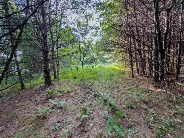 $74,900 | 0 Woodsville Road, Monroe, NH 03771