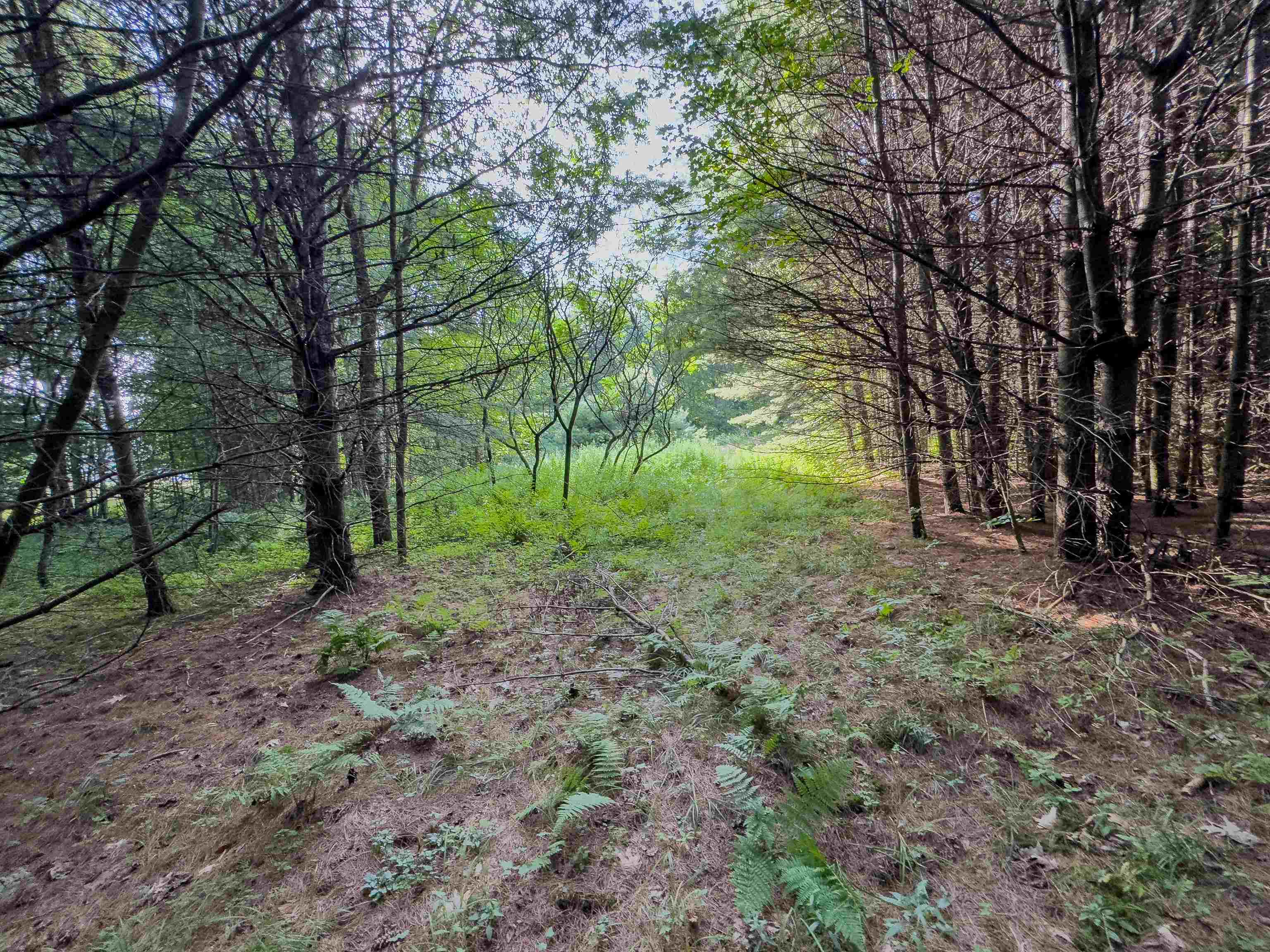 0 Woodsville Road Monroe, NH 03771 - Photo 5 of 15