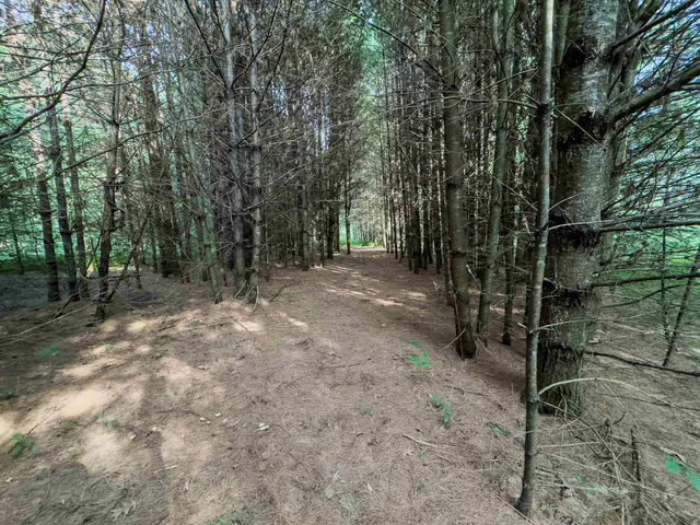 $74,900 | 0 Woodsville Road, Monroe, NH 03771