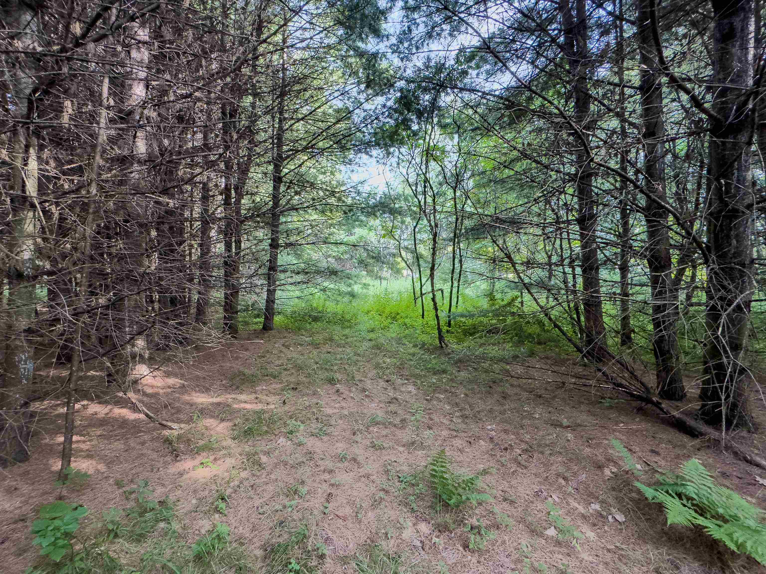 0 Woodsville Road Monroe, NH 03771 - Photo 7 of 15