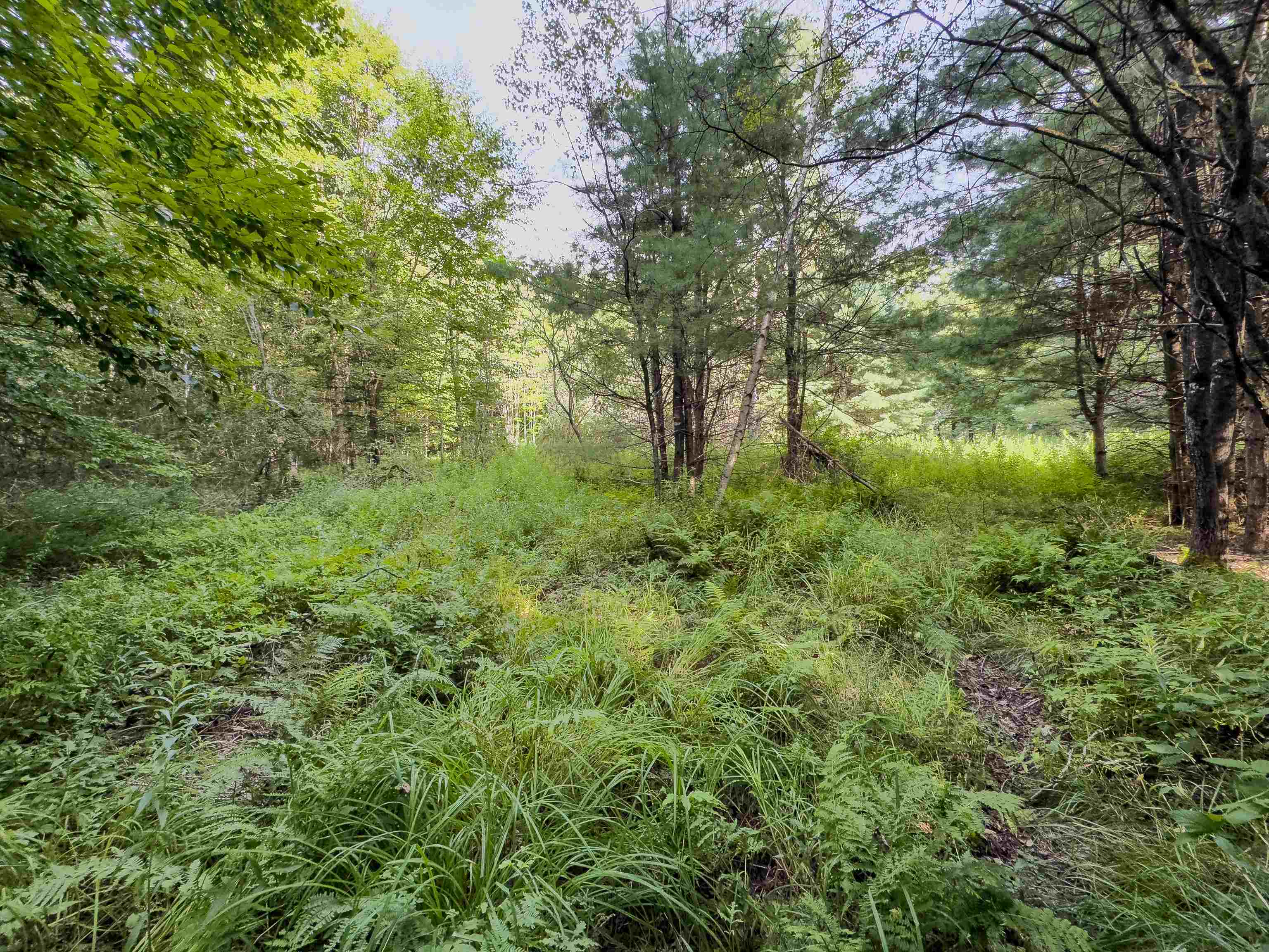 0 Woodsville Road Monroe, NH 03771 - Photo 8 of 15