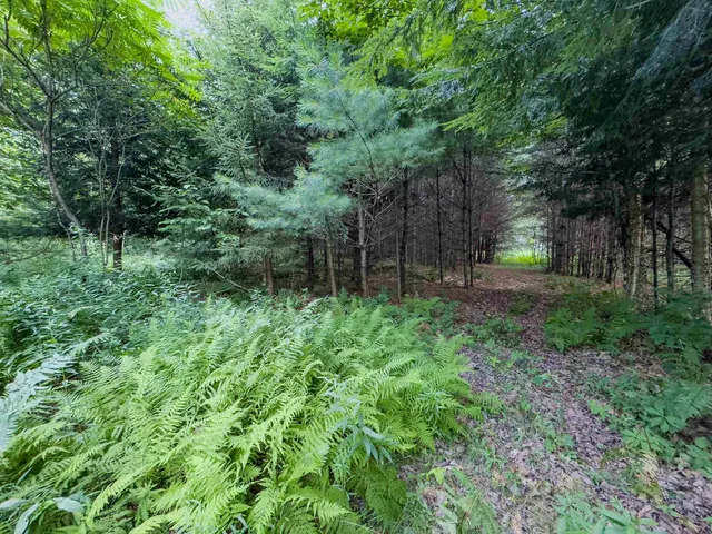 $74,900 | 0 Woodsville Road, Monroe, NH 03771