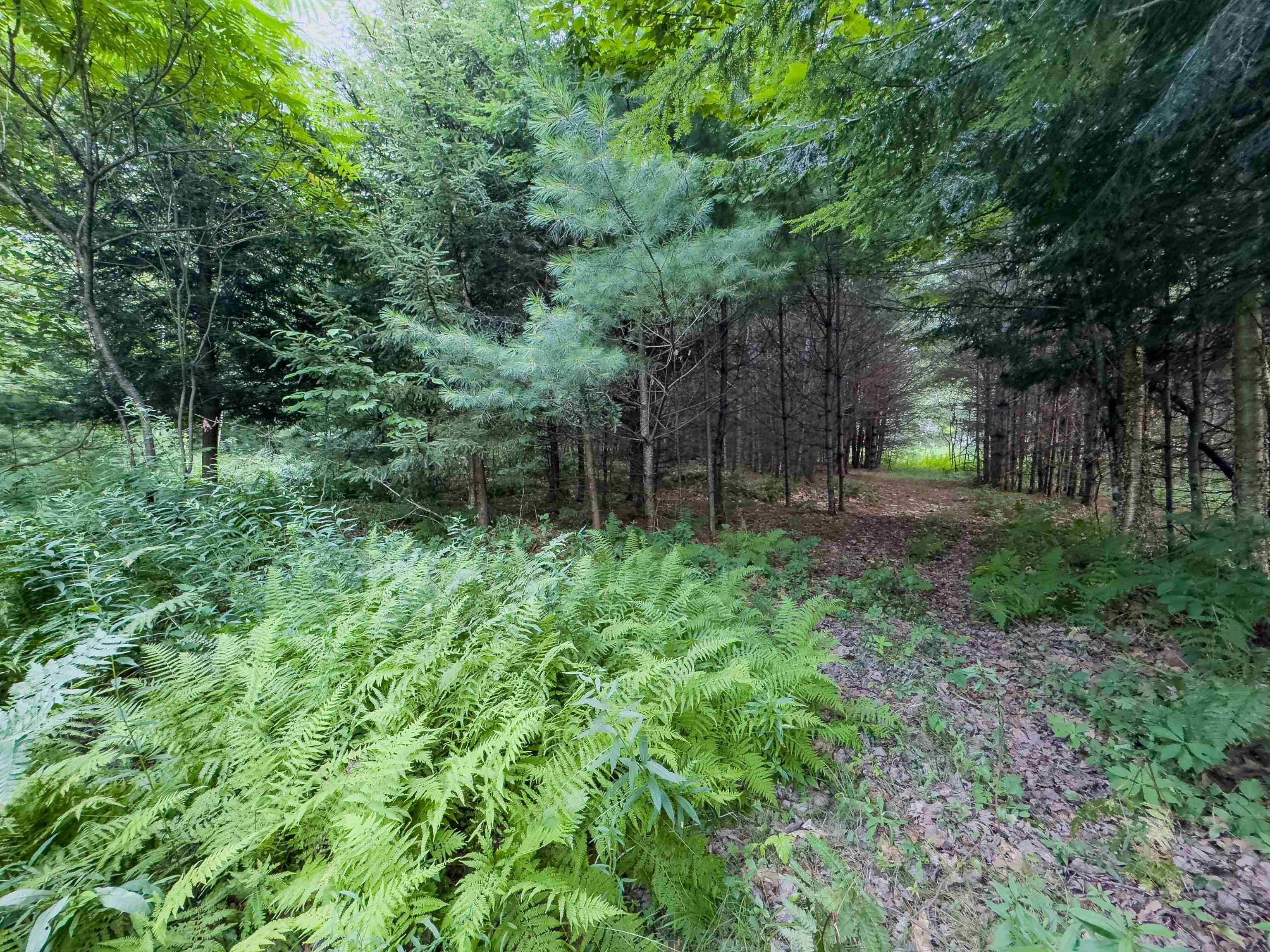 0 Woodsville Road Monroe, NH 03771 - Photo 9 of 15