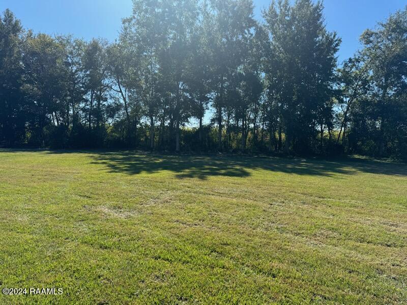 6705 Montgomery Road Maurice, LA 70555 - Photo 9 of 10 IMG_9561(2)