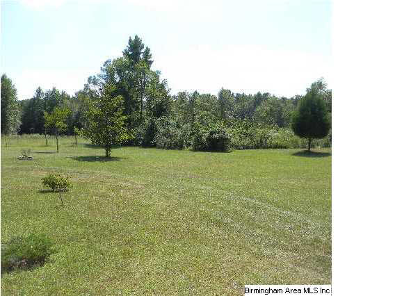 405 County Road 453 Clanton, AL 35046 - Photo 22 of 22