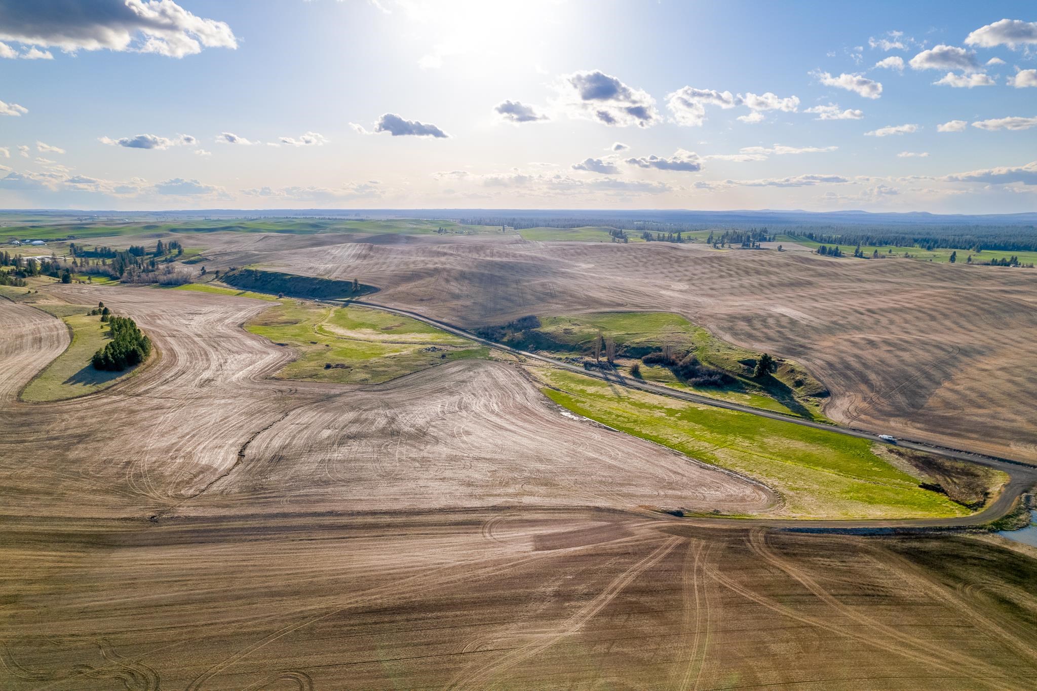 Lot 2 East Cheney-Spangle Road, Unit PARCEL 32085 9041 Spangle, WA 99031 - Photo 8 of 28