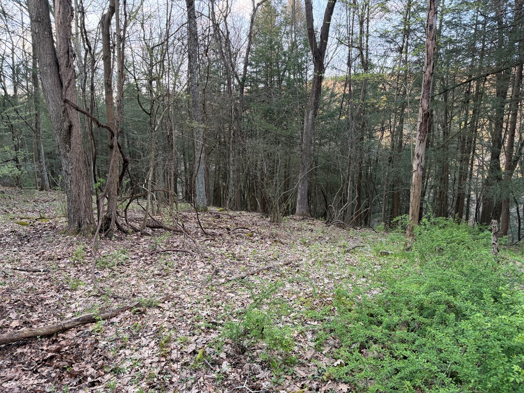 0 Firemans Road Clarion, PA 16214 - Photo 18 of 20