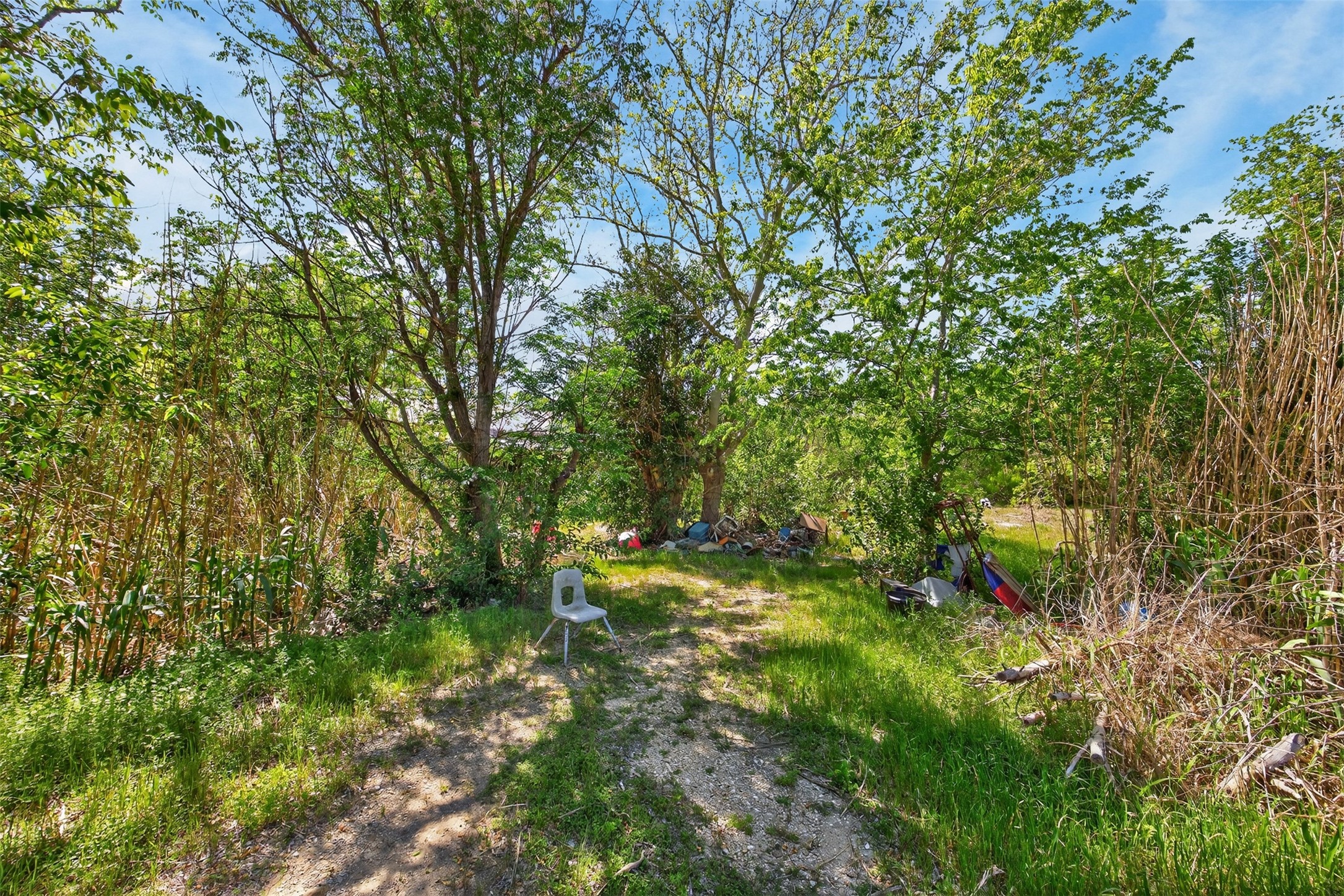 0 Fm 1854 Rd Dale Dale, TX 78616 - Photo 12 of 29 a view of a yard with a tree
