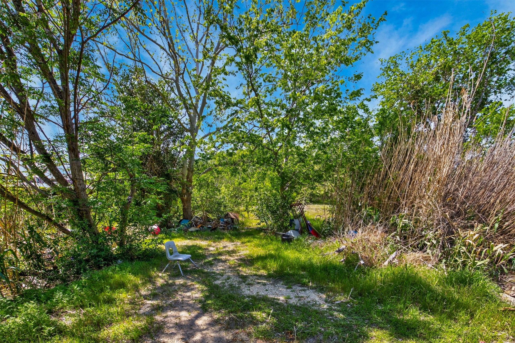 0 Fm 1854 Rd Dale Dale, TX 78616 - Photo 16 of 29 a backyard of a house with lots of green space