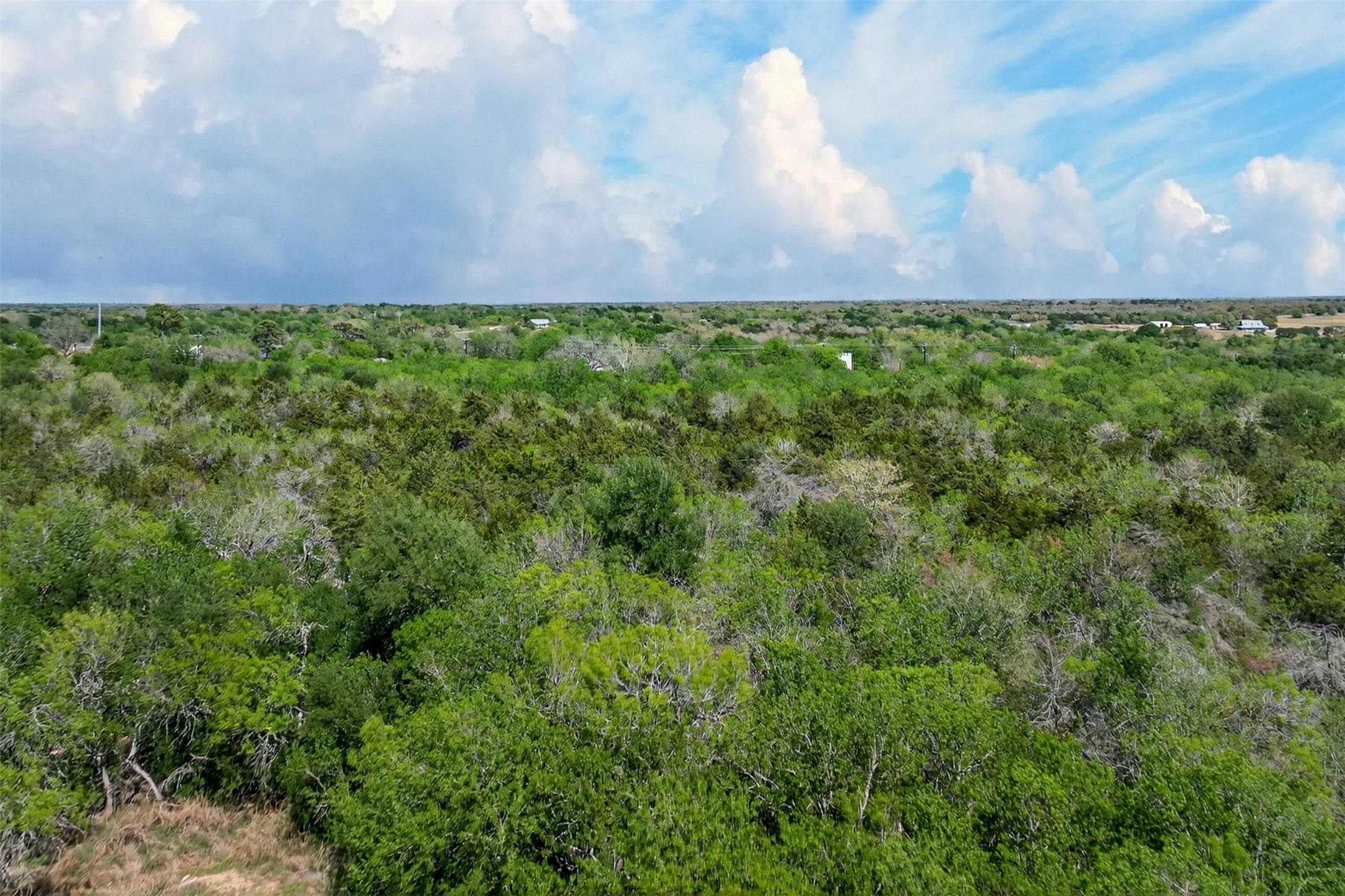 0 Fm 1854 Rd Dale Dale, TX 78616 - Photo 22 of 29 The property features extensive natural landscaping with a variety of mature trees and brush