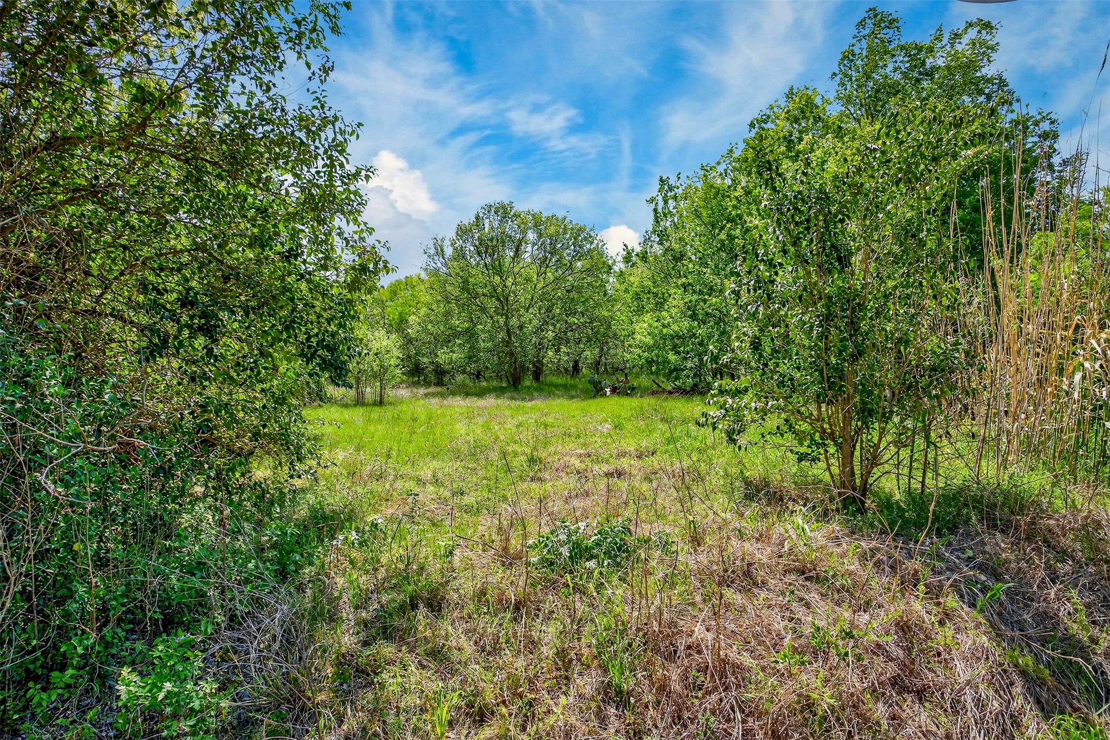 0 Fm 1854 Rd Dale Dale, TX 78616 - Photo 5 of 29 a view of outdoor space and yard