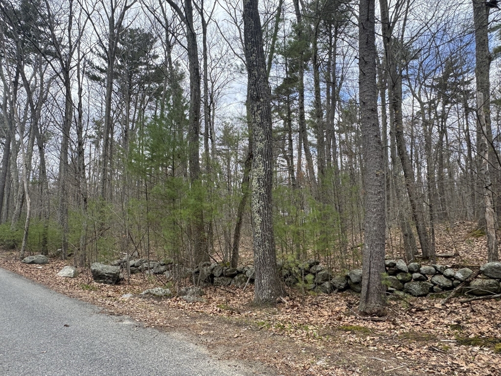 Lot 4 Murphy And Williamsville Roads Barre, MA 01005 - Photo 11 of 12