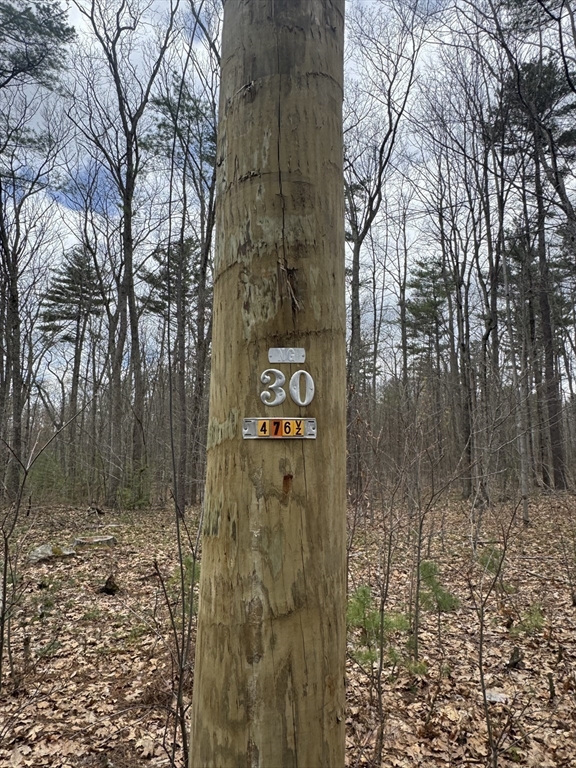 Lot 4 Murphy And Williamsville Roads Barre, MA 01005 - Photo 4 of 12