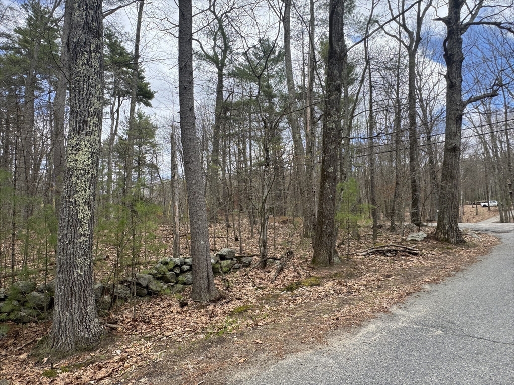 Lot 4 Murphy And Williamsville Roads Barre, MA 01005 - Photo 5 of 12