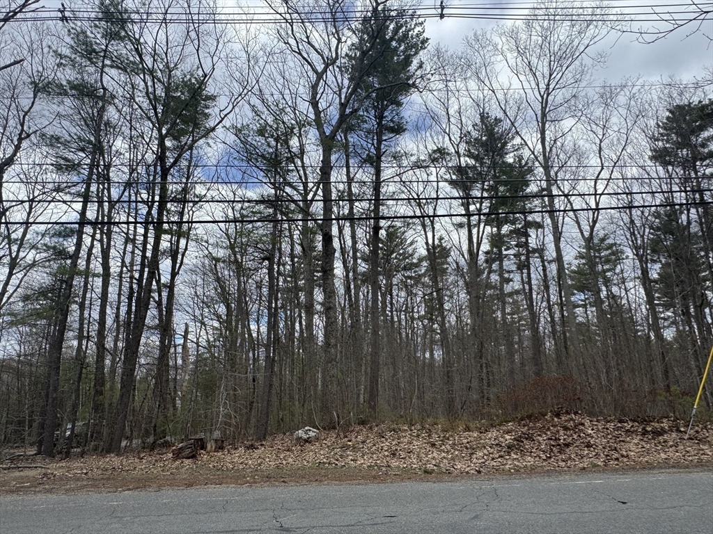 Lot 4 Murphy And Williamsville Roads Barre, MA 01005 - Photo 6 of 12