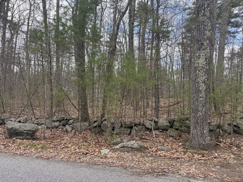 Lot 4 Murphy And Williamsville Roads Barre, MA 01005 - Photo 7 of 12