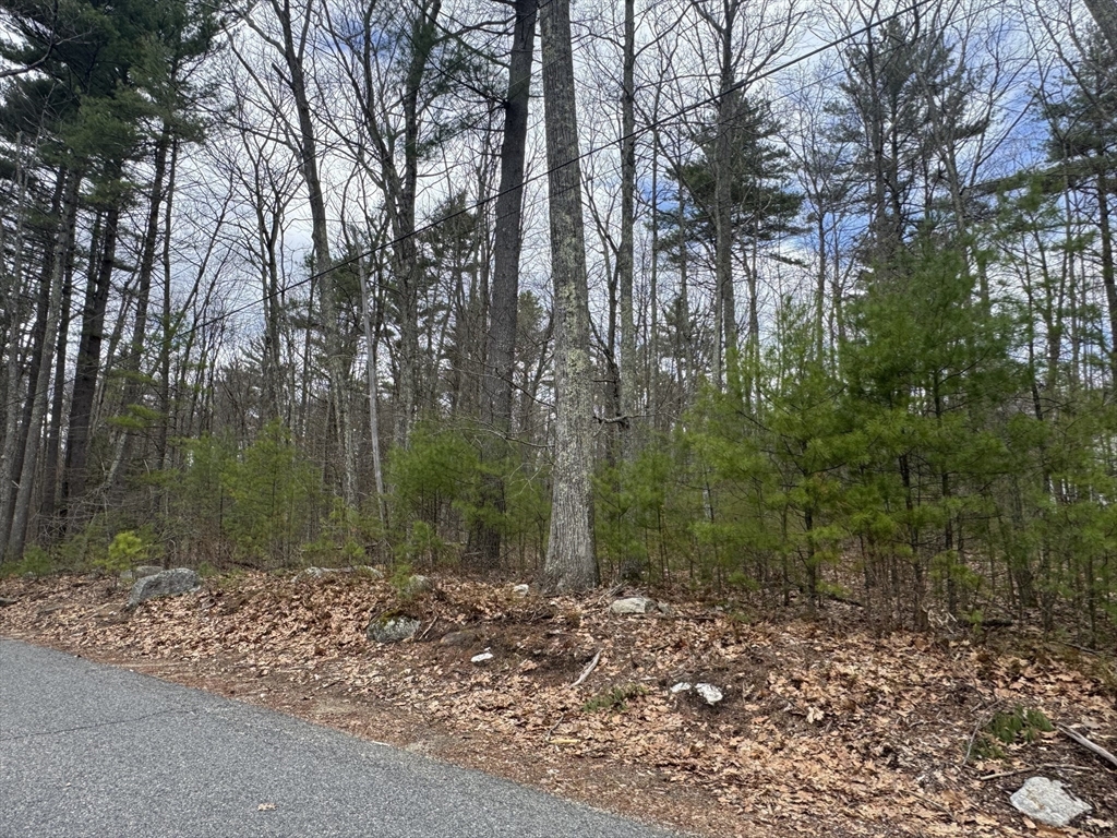 Lot 4 Murphy And Williamsville Roads Barre, MA 01005 - Photo 8 of 12