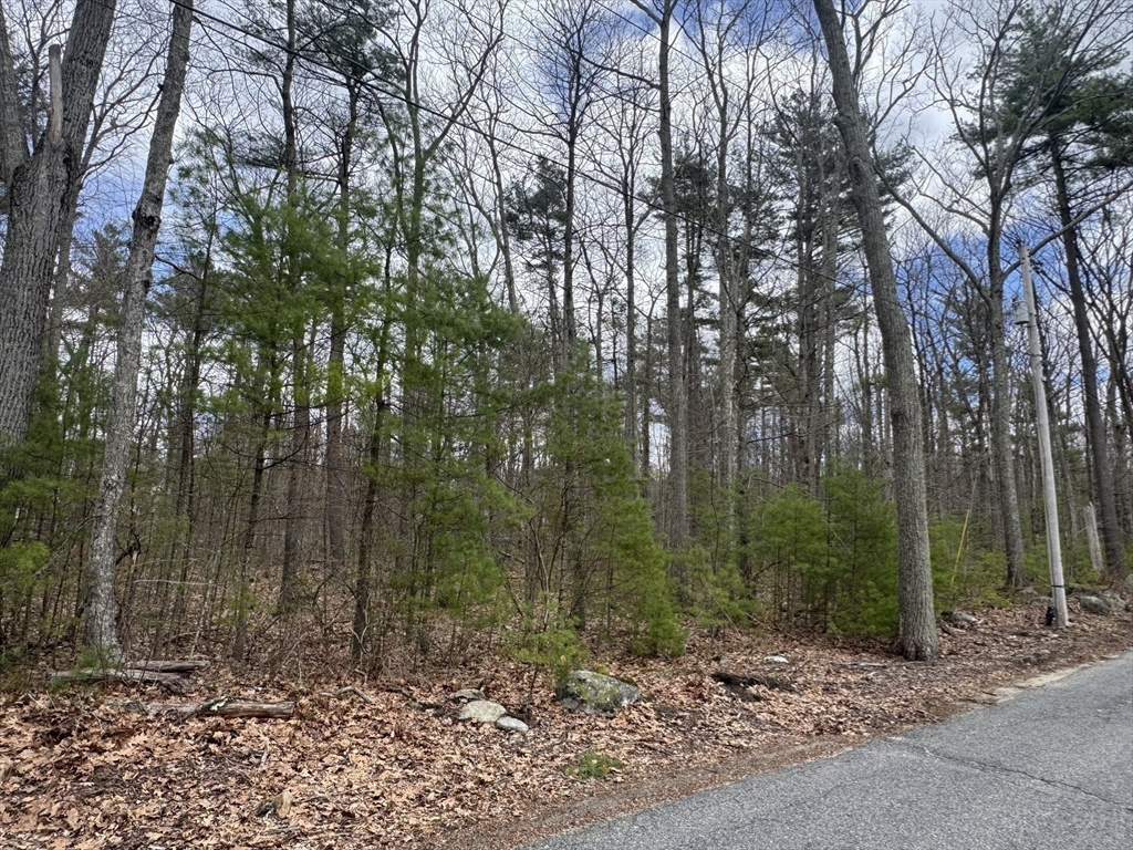 Lot 4 Murphy And Williamsville Roads Barre, MA 01005 - Photo 9 of 12
