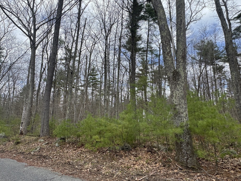 Lot 4 Murphy And Williamsville Roads Barre, MA 01005 - Photo 10 of 12
