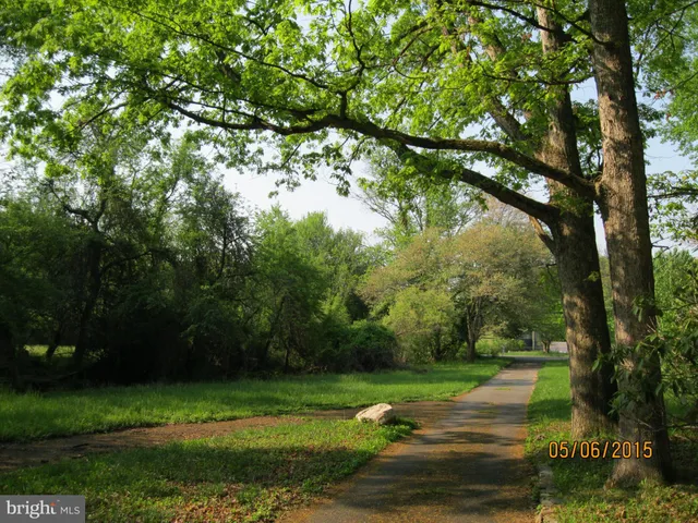 a backyard of a house with large trees and a yard