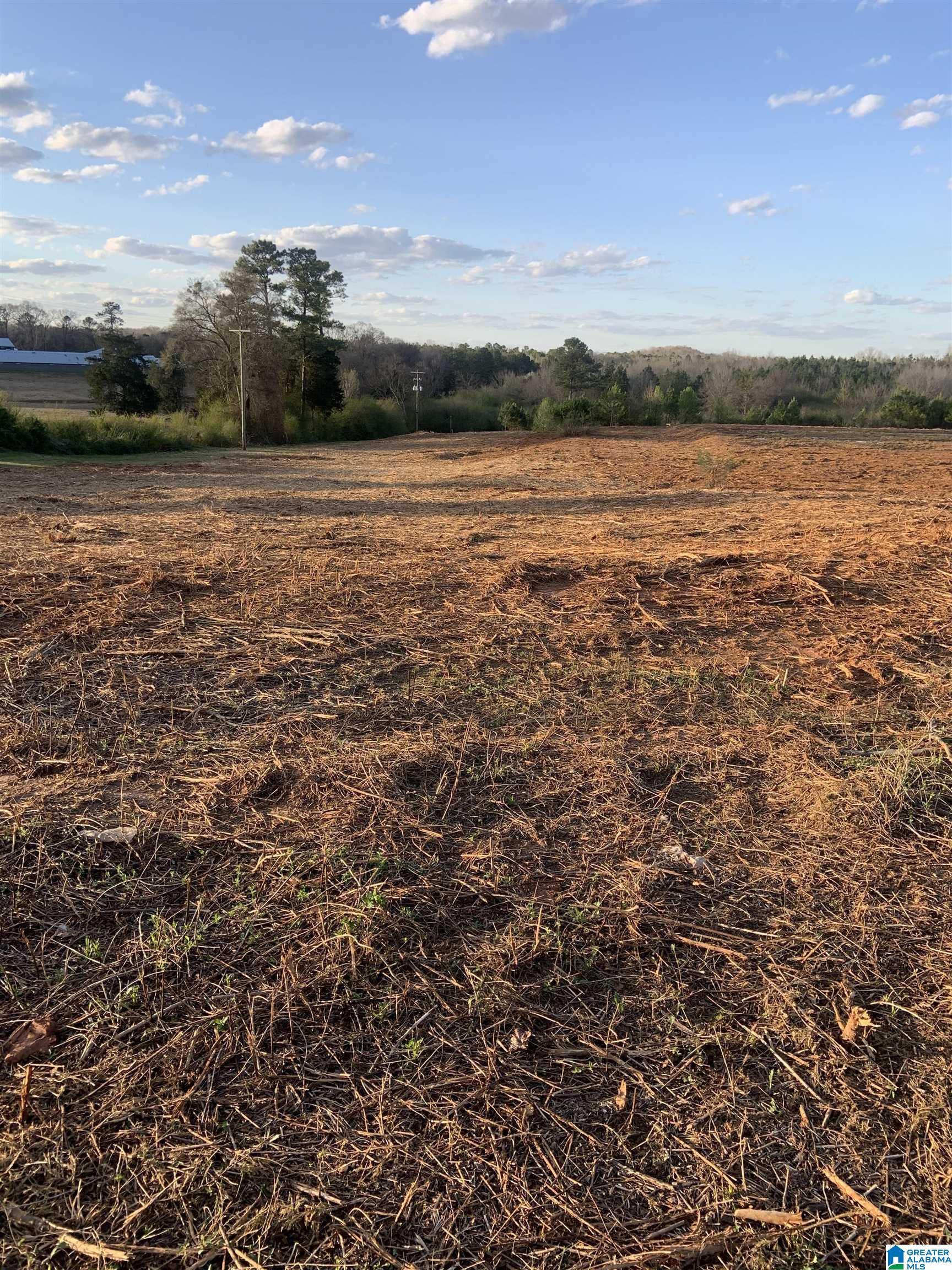 0 Providence Road, Unit 71 ACRES Talladega, AL 35160 - Photo 3 of 9