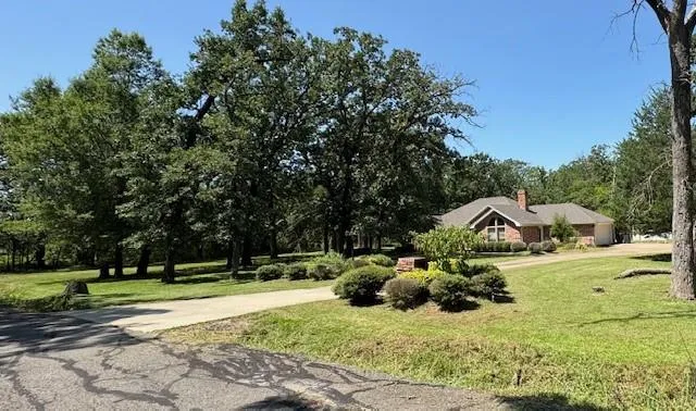 a view of a park with large trees