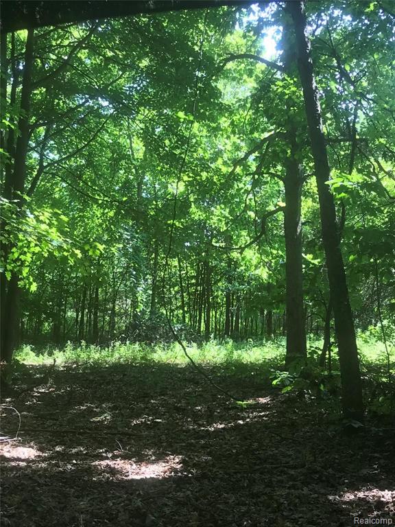 0 West Frances Road Montrose, MI 48457 - Photo 2 of 4