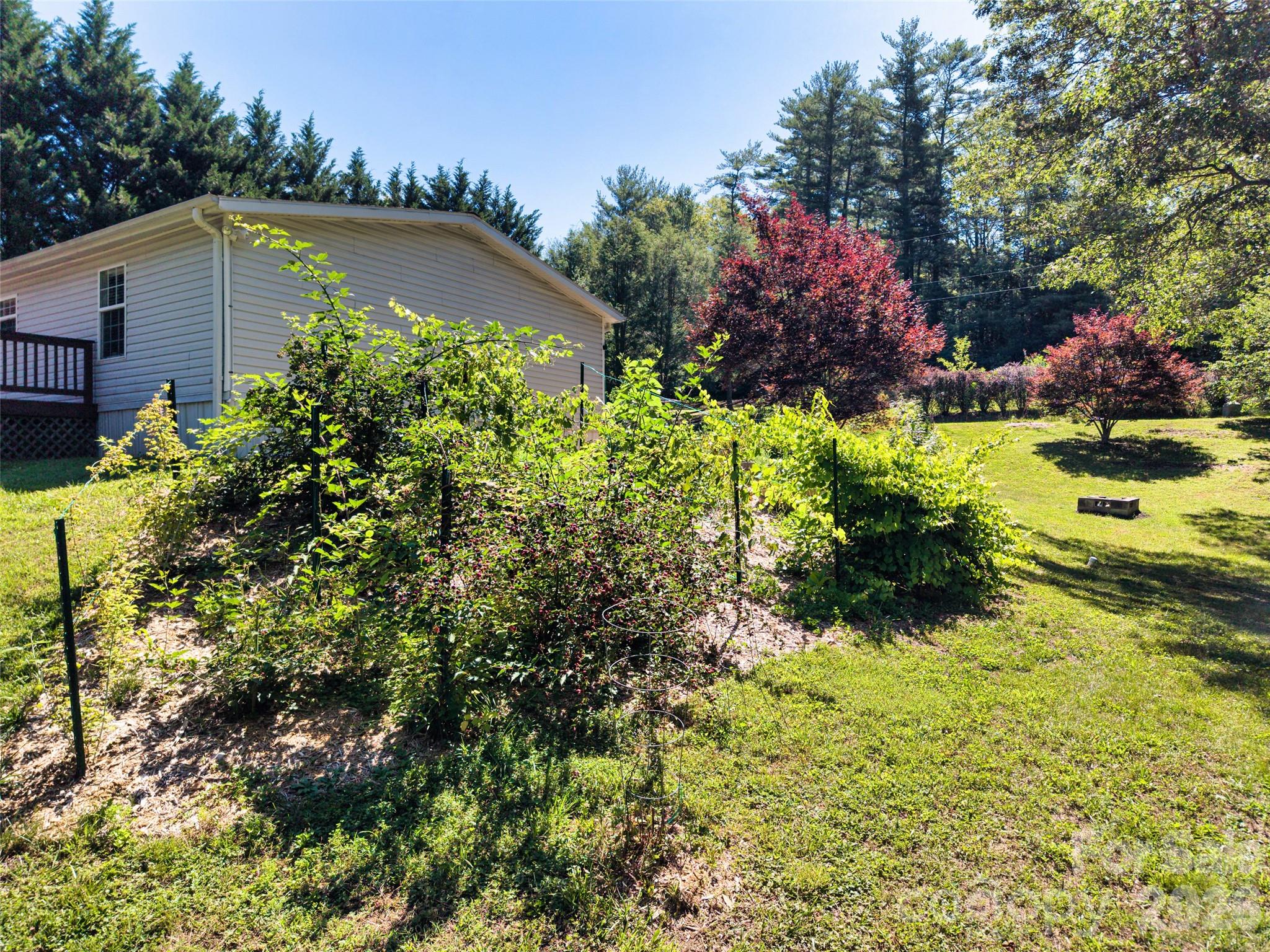 435 McMinn Road Hendersonville, NC 28792 - Photo 30 of 48