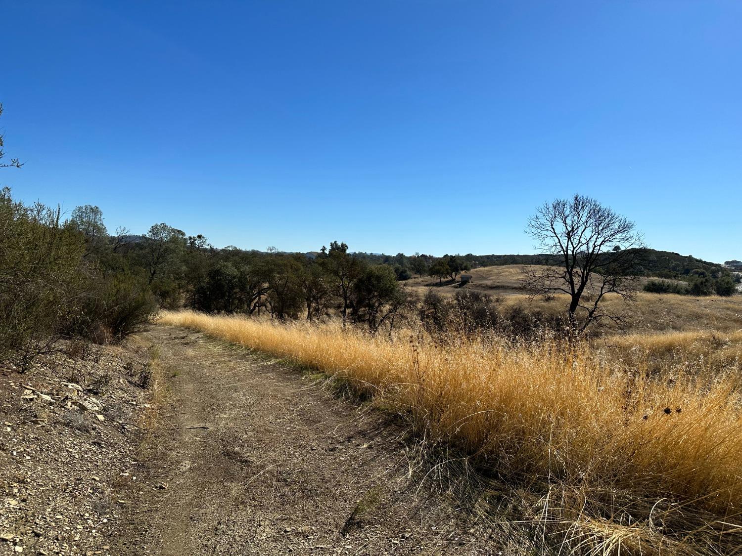 7480 Goose Hill Ranch Road Ione, CA 95640 - Photo 54 of 63 a view of lake