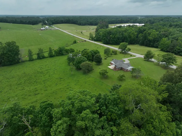 a view of a garden with a tree
