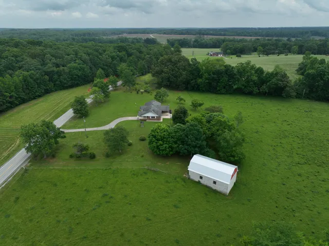 a view of a big yard with plants and large trees