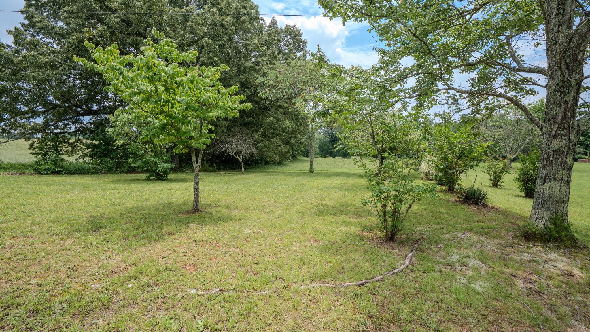 5225 Pumping Station Road Iron City, TN 38463 - Photo 44 of 62