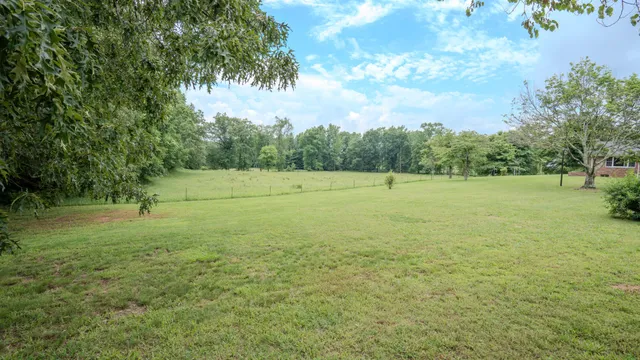 a view of a park with a tree