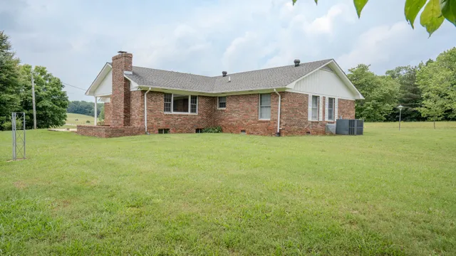 a view of a park with large trees