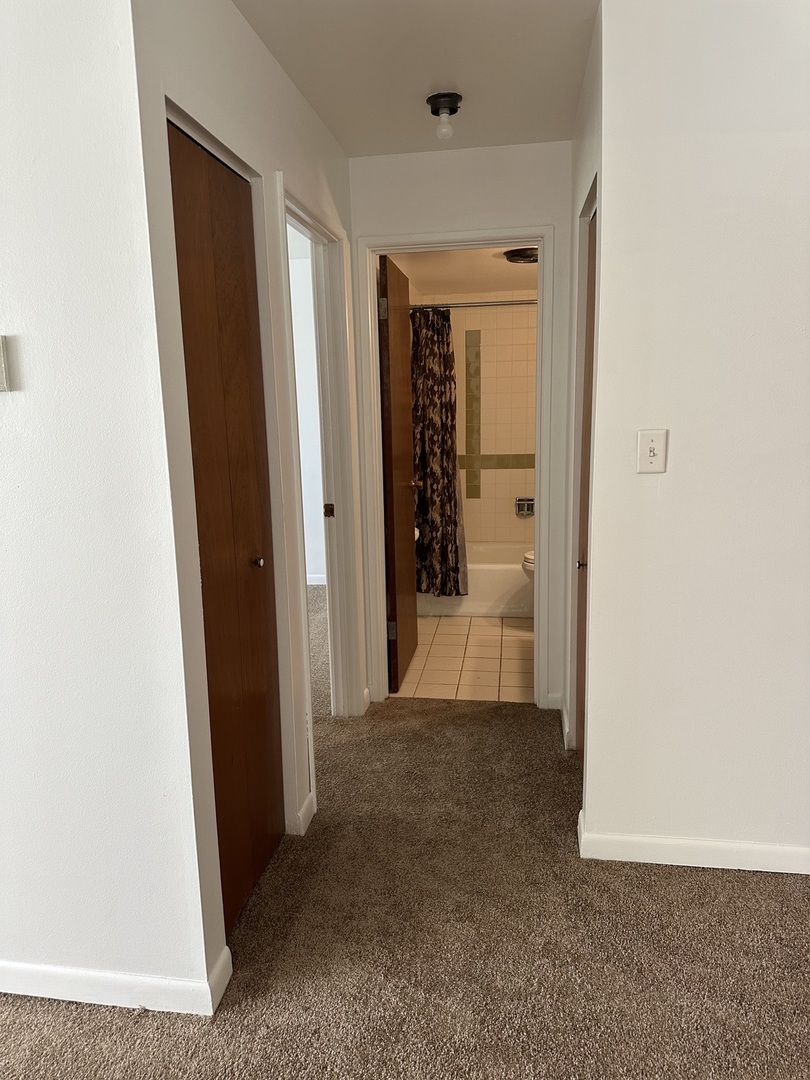 222 Madison Street, Unit 208 Joliet, IL 60435 - Photo 11 of 20 a view of a hallway with wooden shelves