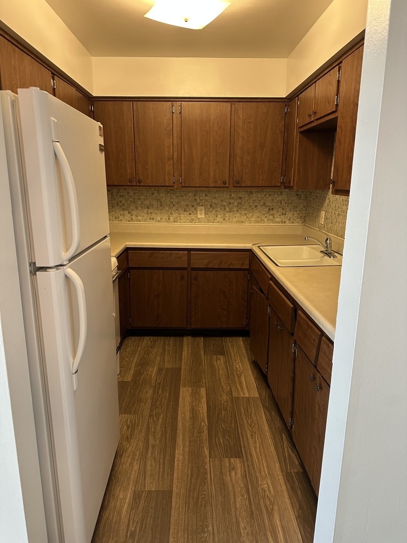 222 Madison Street, Unit 208 Joliet, IL 60435 - Photo 13 of 20 a kitchen with a refrigerator and a sink