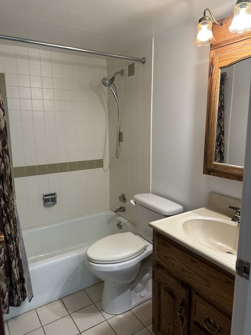 222 Madison Street, Unit 208 Joliet, IL 60435 - Photo 18 of 20 a bathroom with a sink a toilet and shower
