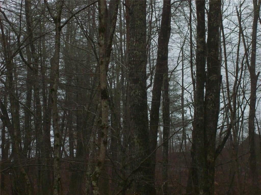 0 McGuire Road Jefferson, ME 04348 - Photo 11 of 13 Photo