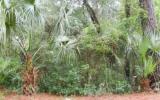 10 Wax Myrtle Road Amelia Island, FL 32034 - Photo 1 of 3 Gallery Image 1