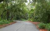 10 Wax Myrtle Road Amelia Island, FL 32034 - Photo 3 of 3 Gallery Image 3