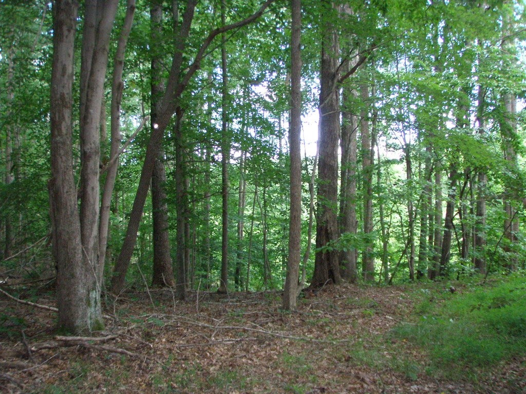 Baldock Road Victoria, VA 23974 - Photo 2 of 4 Gallery Image 2