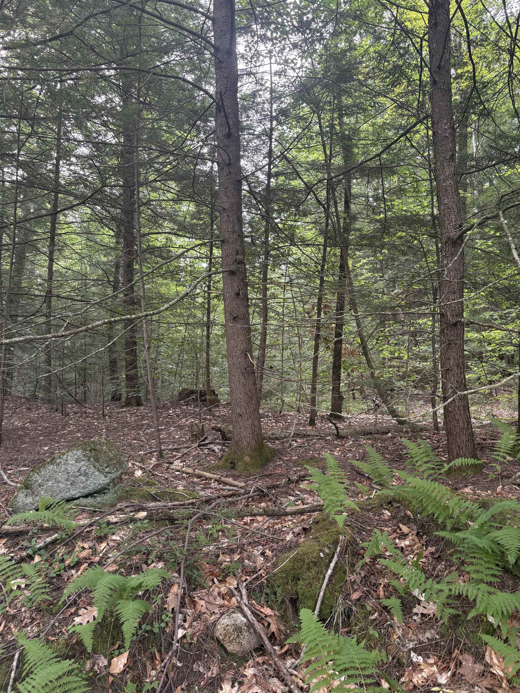 0 Access Road, Unit MAP 18A LOT 15 Spofford, NH 03462 - Photo 5 of 10 Gallery Image 5