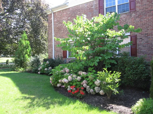 a bunch of flowers in front of house