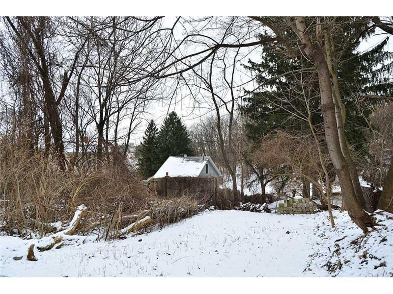 20 Ruth Street Pittsburgh, PA 15211 - Photo 12 of 16 Yard/Garden.