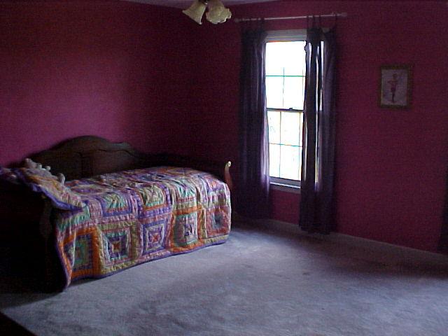3504 Oak Ridge Road Fincastle, VA 24090 - Photo 25 of 26 1st Spare Bedroom