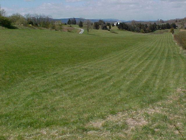 3504 Oak Ridge Road Fincastle, VA 24090 - Photo 5 of 26 View of Property to House