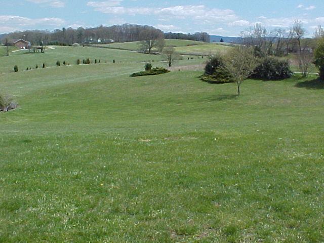 3504 Oak Ridge Road Fincastle, VA 24090 - Photo 6 of 26 View from Front of House