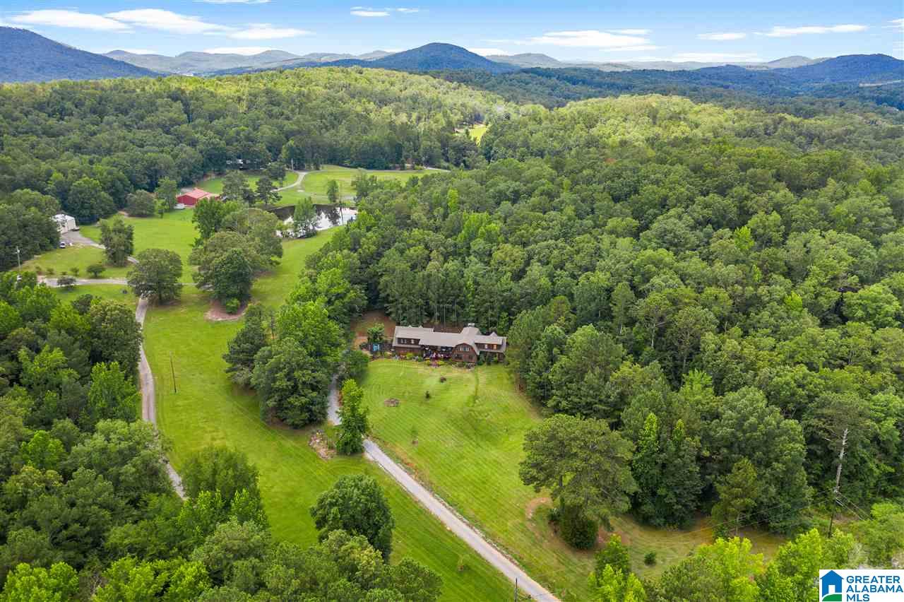2098 Red Valley Road Remlap, AL 35133 - Photo 42 of 47