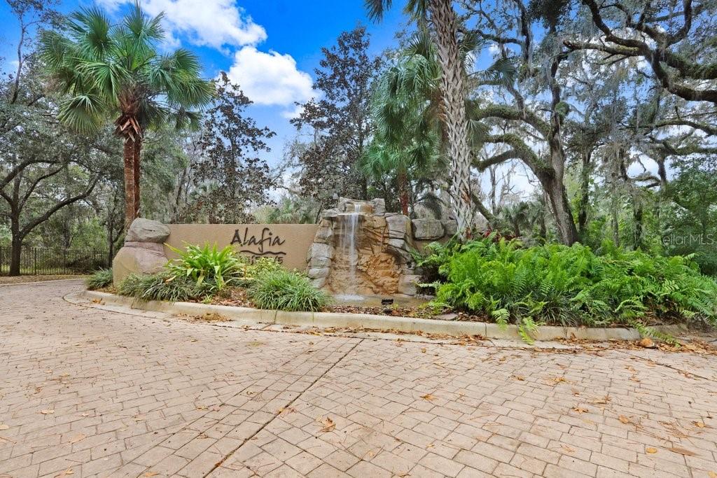 4872 Rambling River Road Brandon, FL 33511 - Photo 1 of 29 a view of a yard with plants